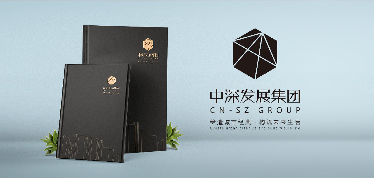 中深發展集團畫冊設計