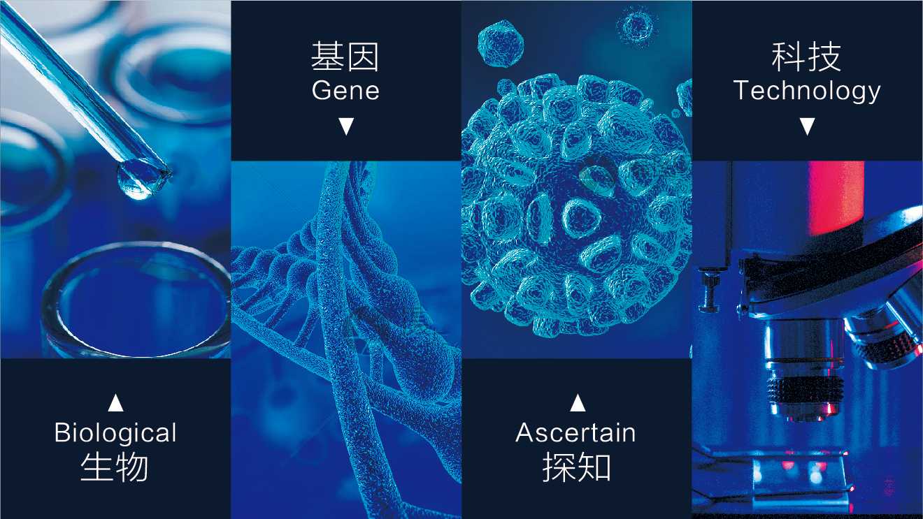 金爾康輔助圖形-16