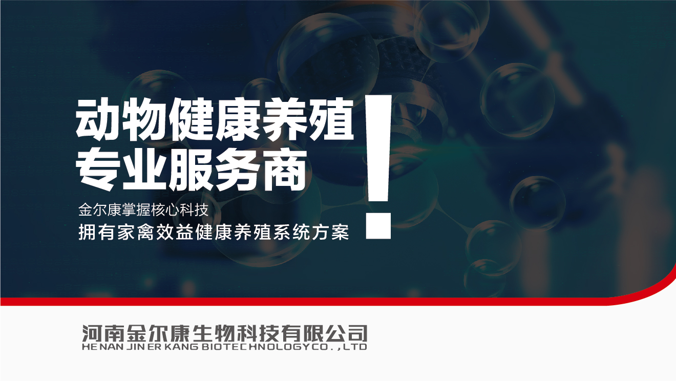 金爾康輔助圖形-17